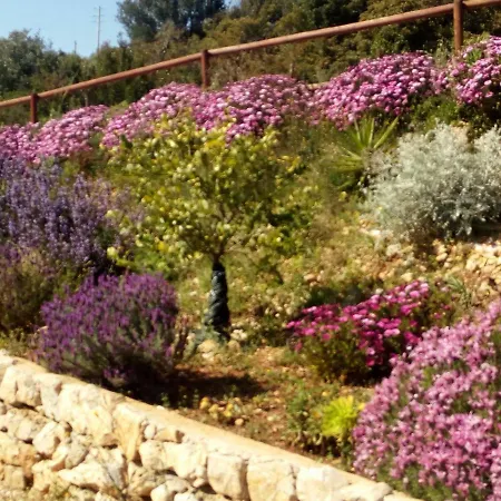 Dimora Marchese Bed & Breakfast